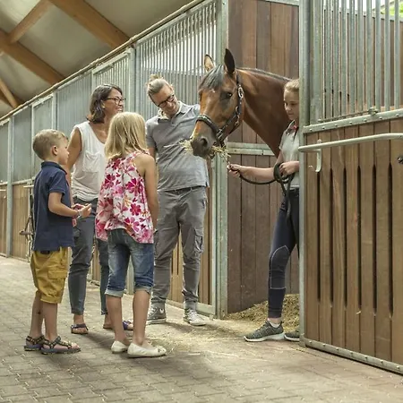 Equestrian Center Brdo